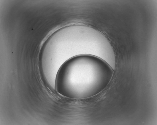 X0000082930244200702011053