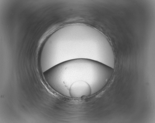 X0000082930245200702011053