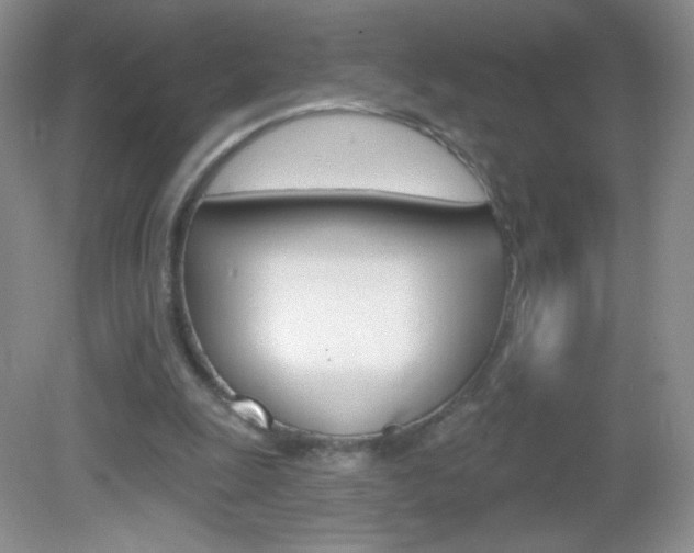 X0000082930247200702011053