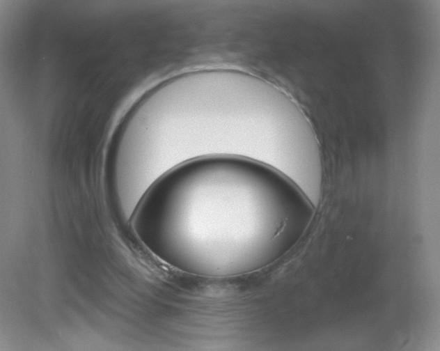 X0000082930248200702011053