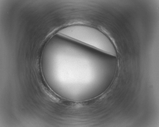 X0000082930249200702011053