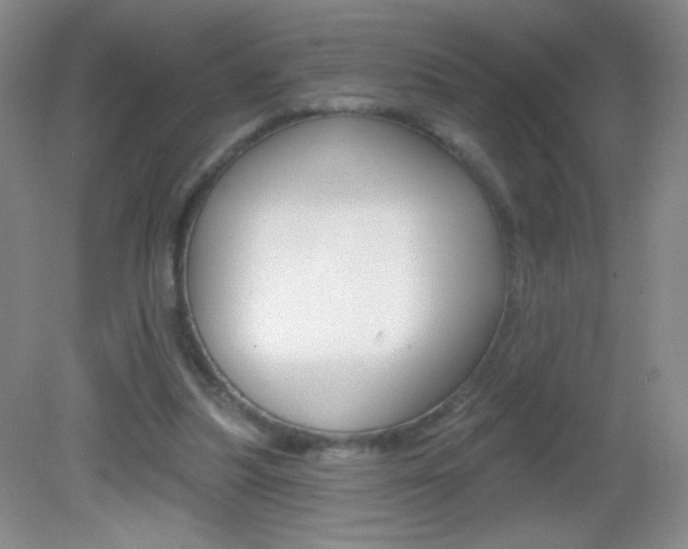 X0000082930251200702011053