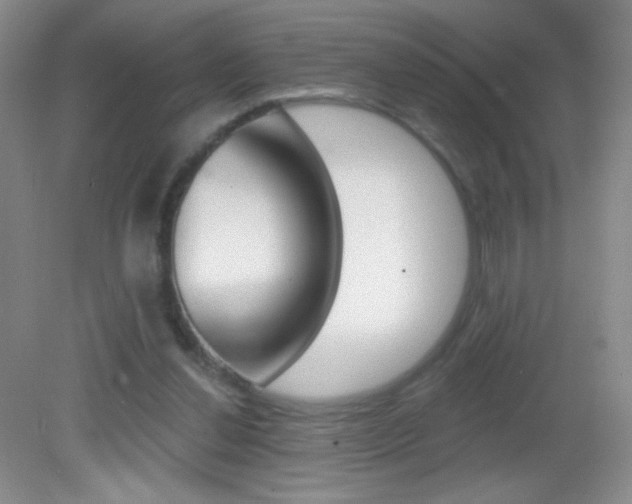 X0000082930252200702011053