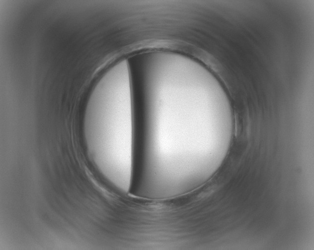 X0000082930253200702011053