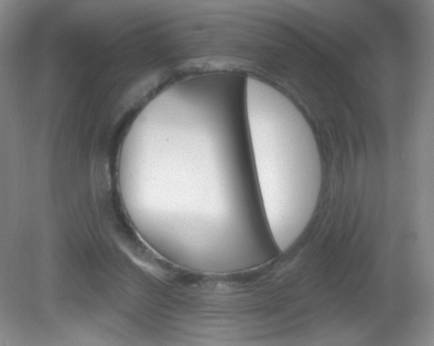 X0000082930254200702011053