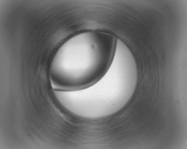 X0000082930256200702011053