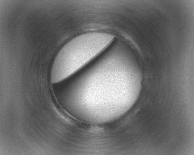 X0000082930257200702011053