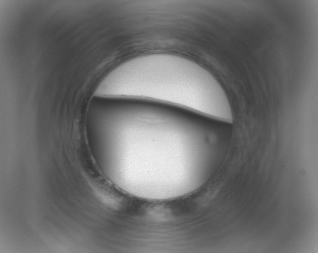 X0000082930258200702011053