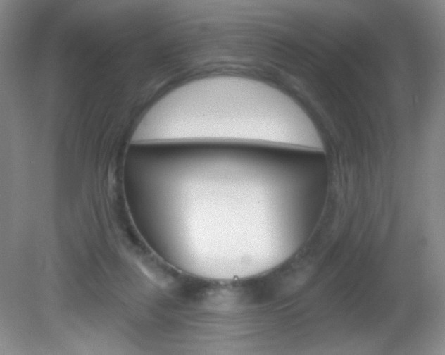X0000082930259200702011053