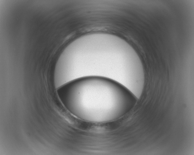 X0000082930260200702011054