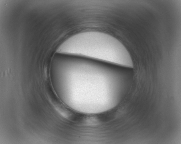 X0000082930262200702011054