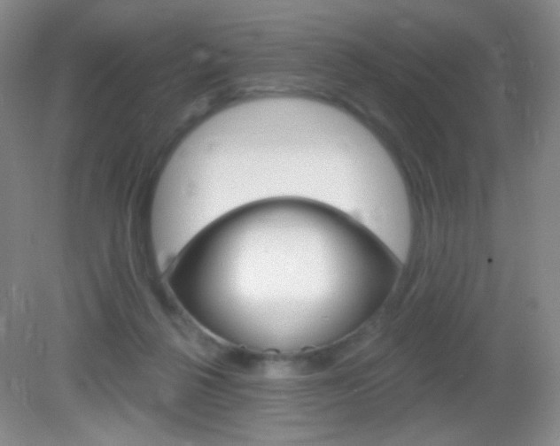 X0000082930264200702011054