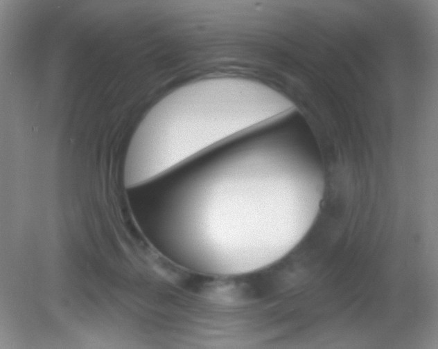 X0000082930267200702011054