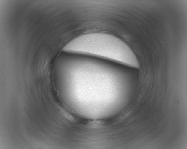 X0000082930269200702011054