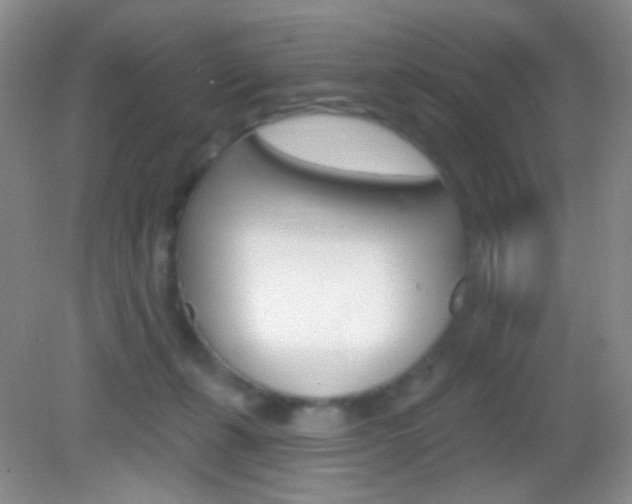 X0000082930271200702011054