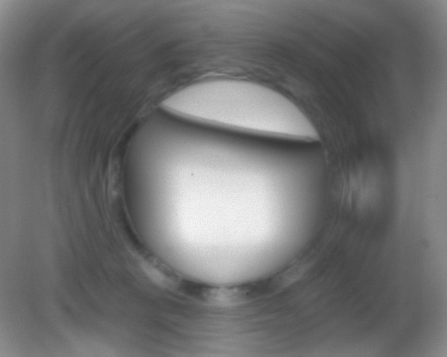 X0000082930273200702011054