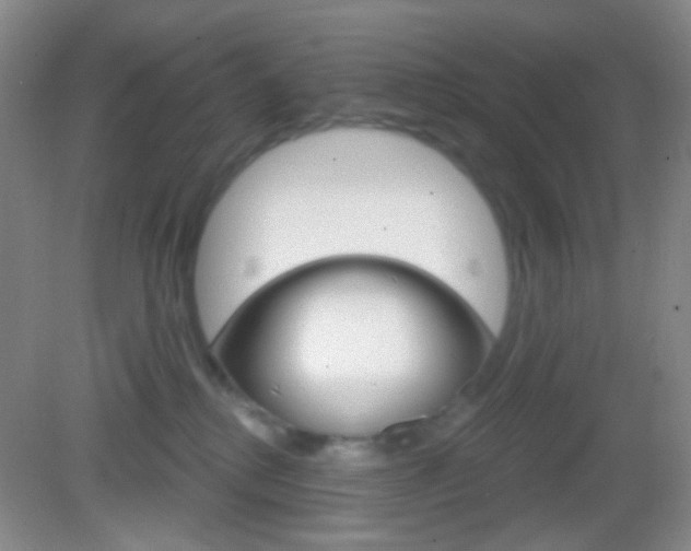 X0000082930280200702011054