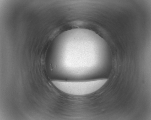 X0000082930284200702011054