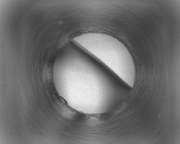 X0000082930285200702011054