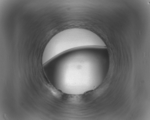 X0000082930288200702011054