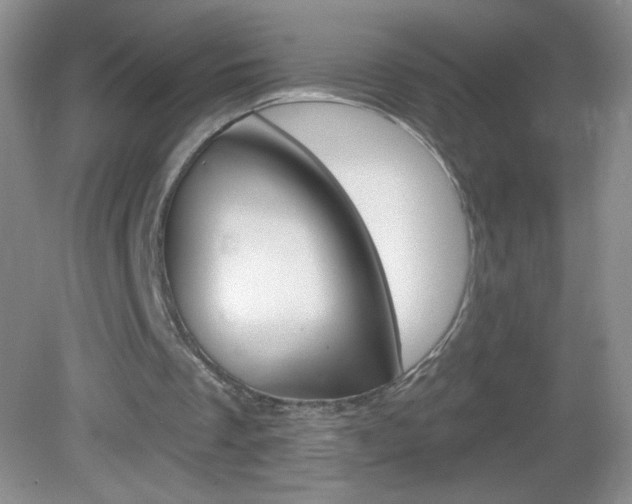 X0000082930289200702011053