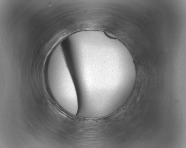 X0000082930290200702011053