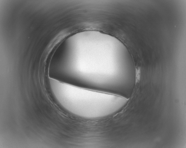 X0000082930291200702011053