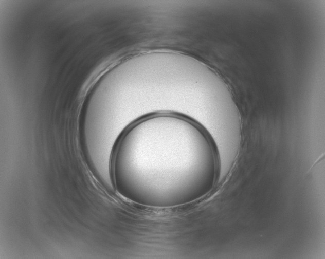 X0000082930293200702011053