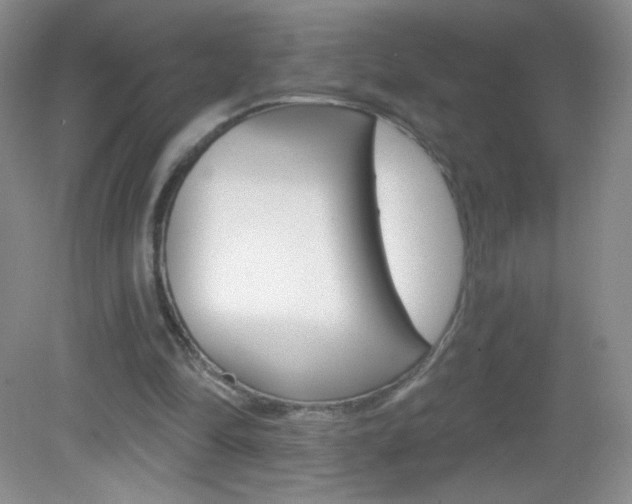 X0000082930294200702011053