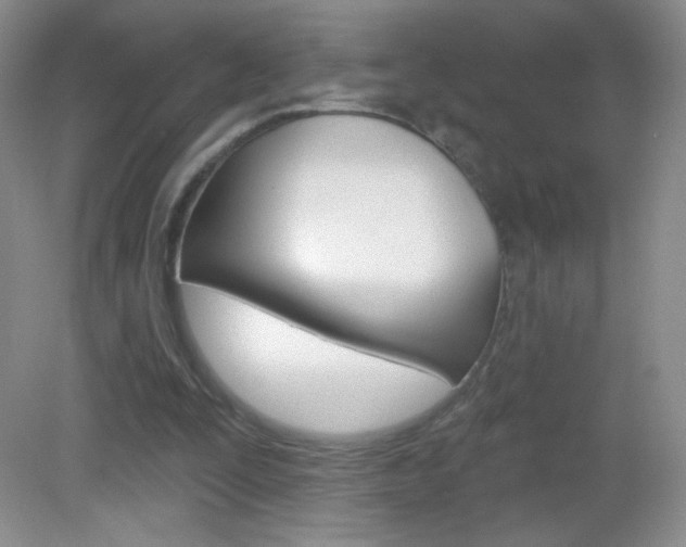 X0000082930295200702011053