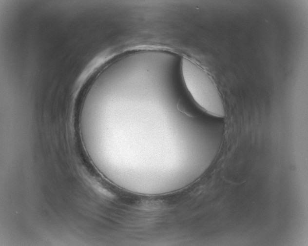 X0000082930296200702011053