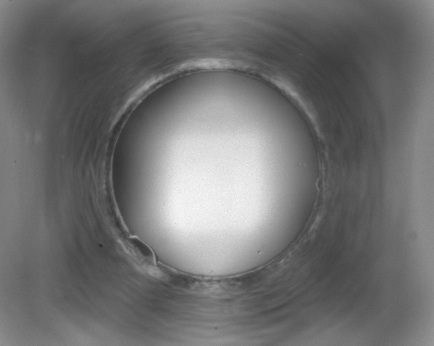 X0000082930297200702011053