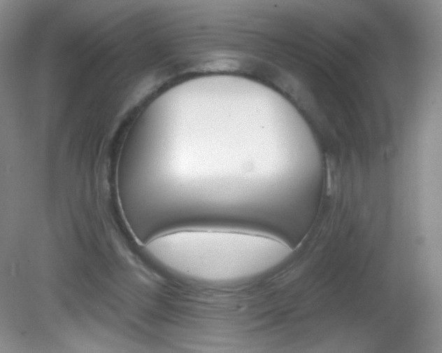 X0000082930300200702011053