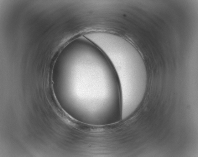 X0000082930301200702011053