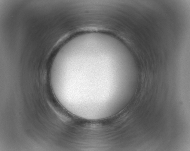 X0000082930304200702011053