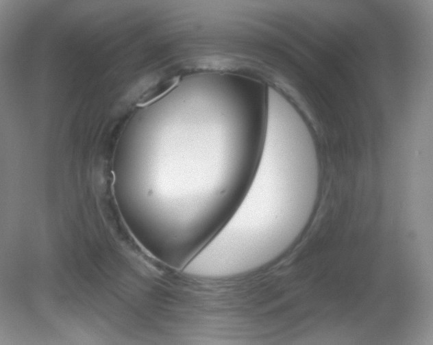 X0000082930305200702011053