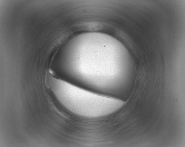 X0000082930307200702011053