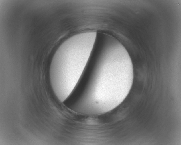 X0000082930308200702011053