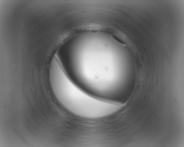 X0000082930309200702011053