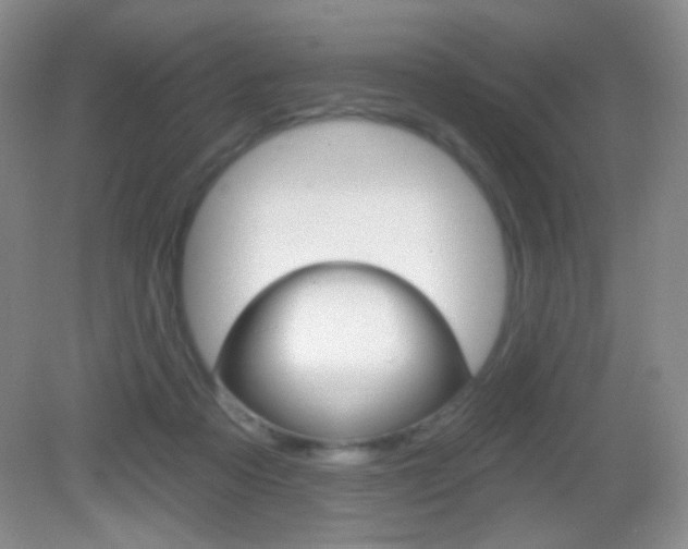 X0000082930313200702011053