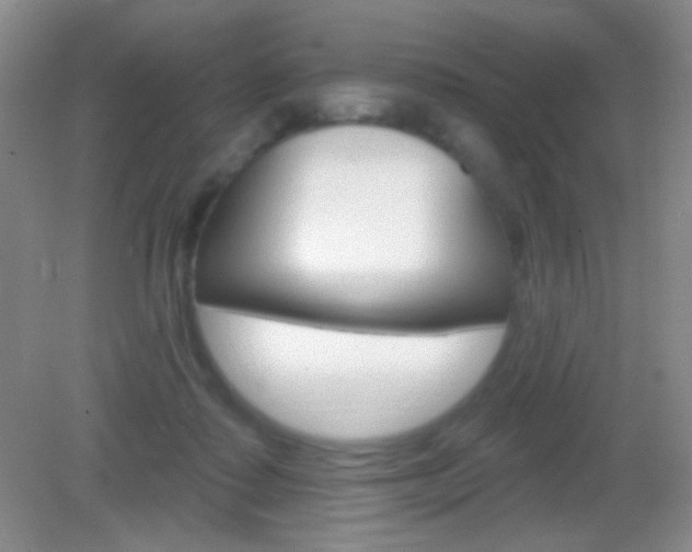 X0000082930315200702011053