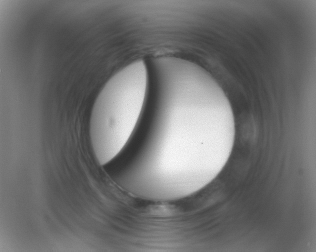 X0000082930316200702011053
