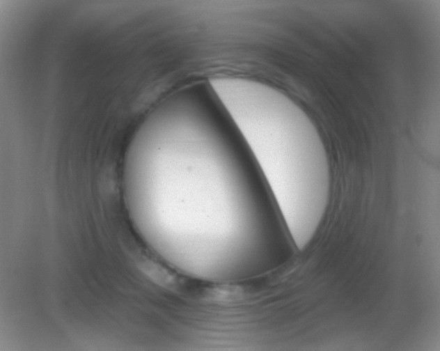 X0000082930317200702011053