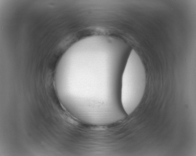 X0000082930318200702011053