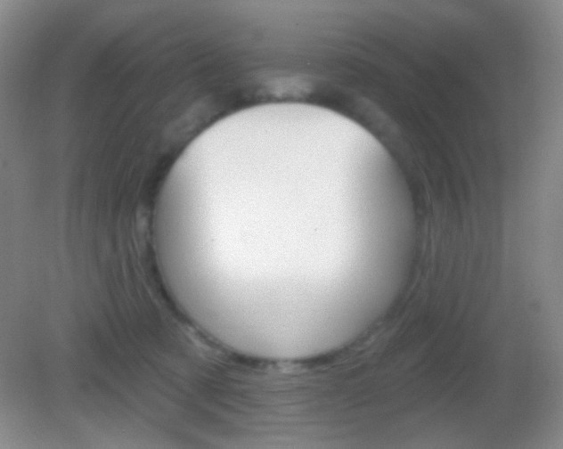 X0000082930321200702011053