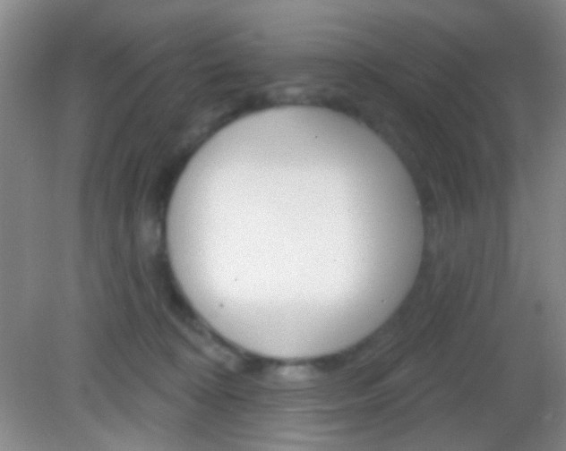 X0000082930324200702011053
