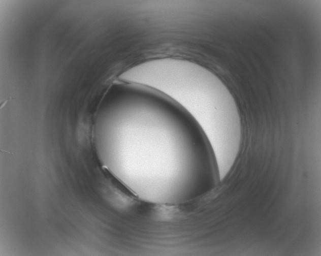 X0000082930333200702011052