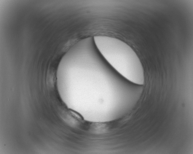 X0000082930334200702011052