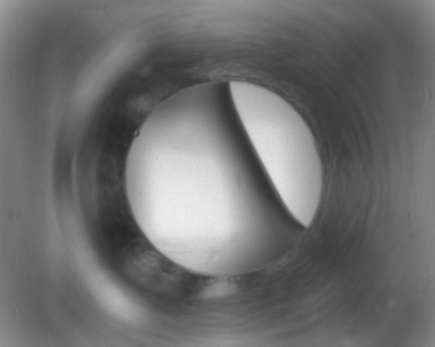 X0000082930335200702011052
