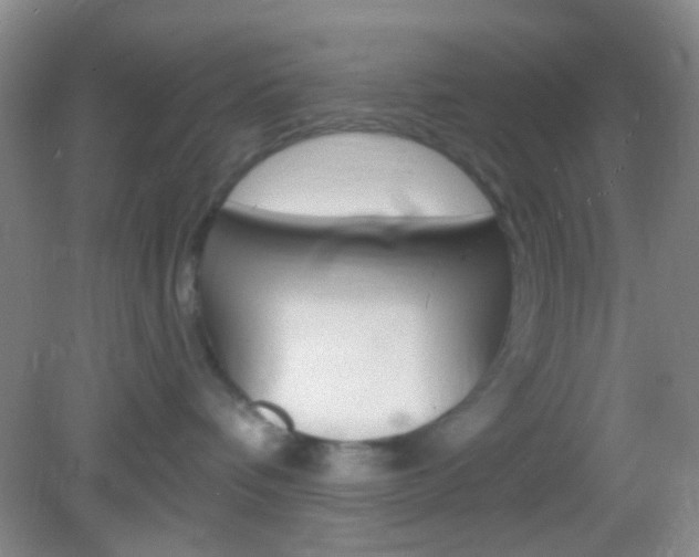 X0000082930336200702011052